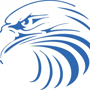 Photo of Blueagle Cleaning Company