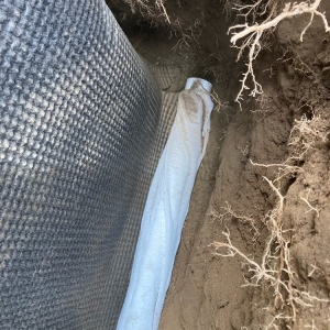 Photo of Basement Expert