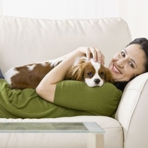 Photo of Milwaukee Carpet Cleaning