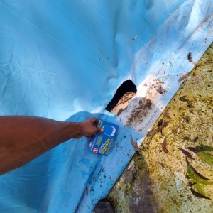 Photo of Nellas Pool Cleaning