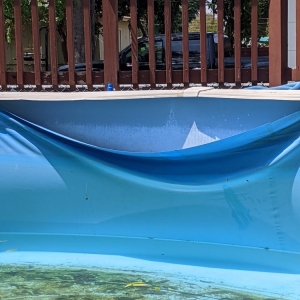 Photo of Nellas Pool Cleaning