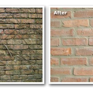 Photo of Chicago Brick