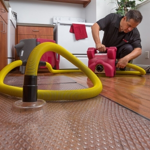 Photo of PuroClean of Victor Heights