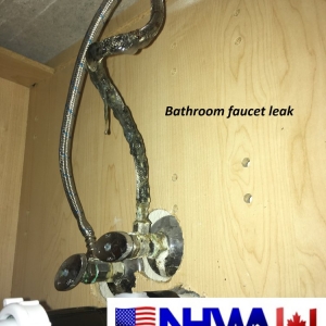 Photo of STL Home Watch Services