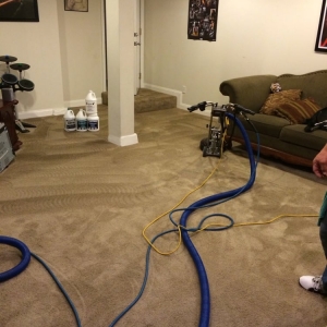 Photo of A1 Green Steam Carpet Clean