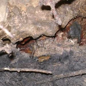 Photo of Buddy's Plumbing