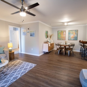 Photo of South Beach Apartments