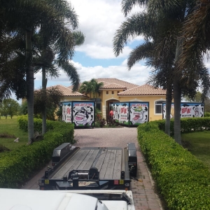 Photo of COWs of South Miami/ Homestead