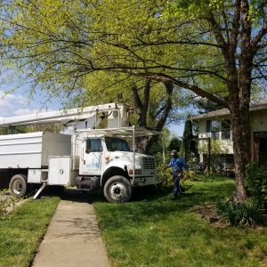 Photo of Greenworks Lawn Landscape & Trees