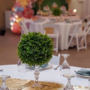 Photo of Studio 7 Events & Design