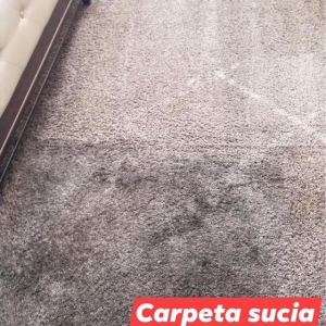 Photo of Gallardo's Carpet Cleaning & Janitorial service