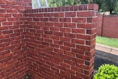 Photo of Proline Services