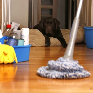 Photo of A-1 Custom Cleaning Specialist