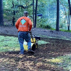 Photo of TriGem Homes & Gardens