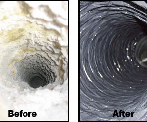 Photo of Lavender Care Air Duct & Carpet Cleaning