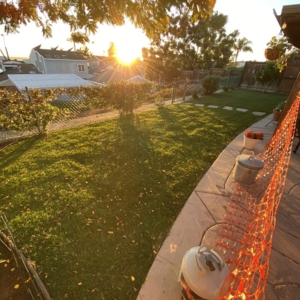 Photo of Blue Star Landscape Construction