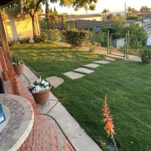 Photo of Blue Star Landscape Construction