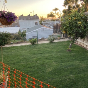Photo of Blue Star Landscape Construction