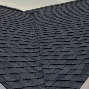 Photo of Ridged Roofing Contractors