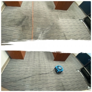 Photo of Imperial Carpet Care