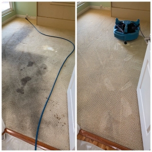 Photo of Imperial Carpet Care