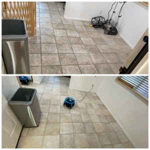 Photo of Imperial Carpet Care