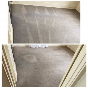 Photo of Imperial Carpet Care