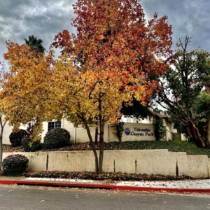 Photo of Talmadge Canyon Park