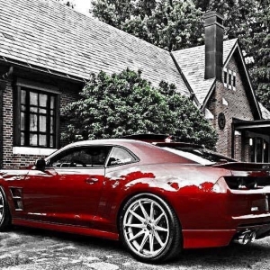 Photo of Furious Shine