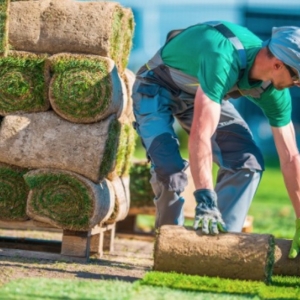 Los Angeles EcoGreen Landscape Service