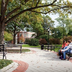 Photo of Davies Associates Landscape Architects