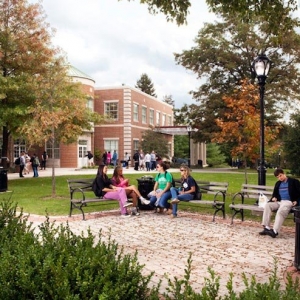 Photo of Davies Associates Landscape Architects