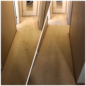 Milwaukie Zamora Cleaning Services