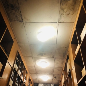 Photo of 911 Water Damage Experts of Memphis