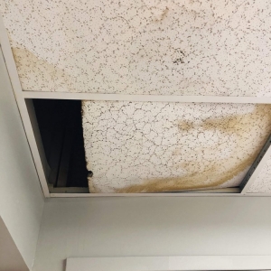 Photo of 911 Water Damage Experts of Memphis