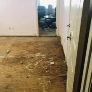 Photo of 911 Water Damage Experts of Memphis