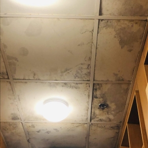 Photo of 911 Water Damage Experts of Memphis