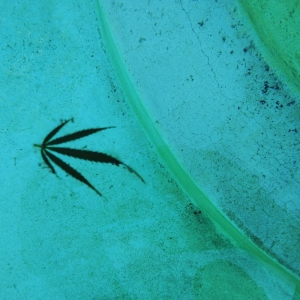 Photo of Desmond's Pool Service