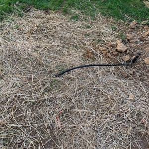 Photo of B-Dry Systems of Louisville Inc