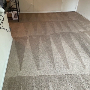 Photo of Oxi Fresh Carpet Cleaning