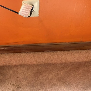 Photo of Oxi Fresh Carpet Cleaning