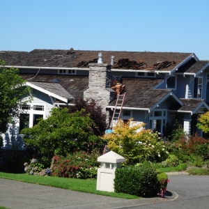 Photo of Ascend Restoration Services