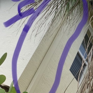 Photo of Seamless Gutter Masters