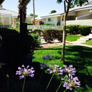 Photo of Terrace Court Apartments