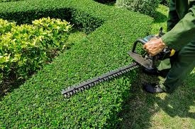 Photo of North Hills Tree Service