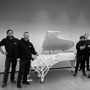 Photo of Pro Piano Move