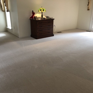 Photo of Modernistic Cleaning and Restoration