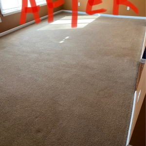 Photo of Modernistic Cleaning and Restoration