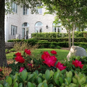 Photo of New Leaf Landscape Management