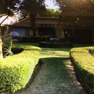 Photo of New Leaf Landscape Management
